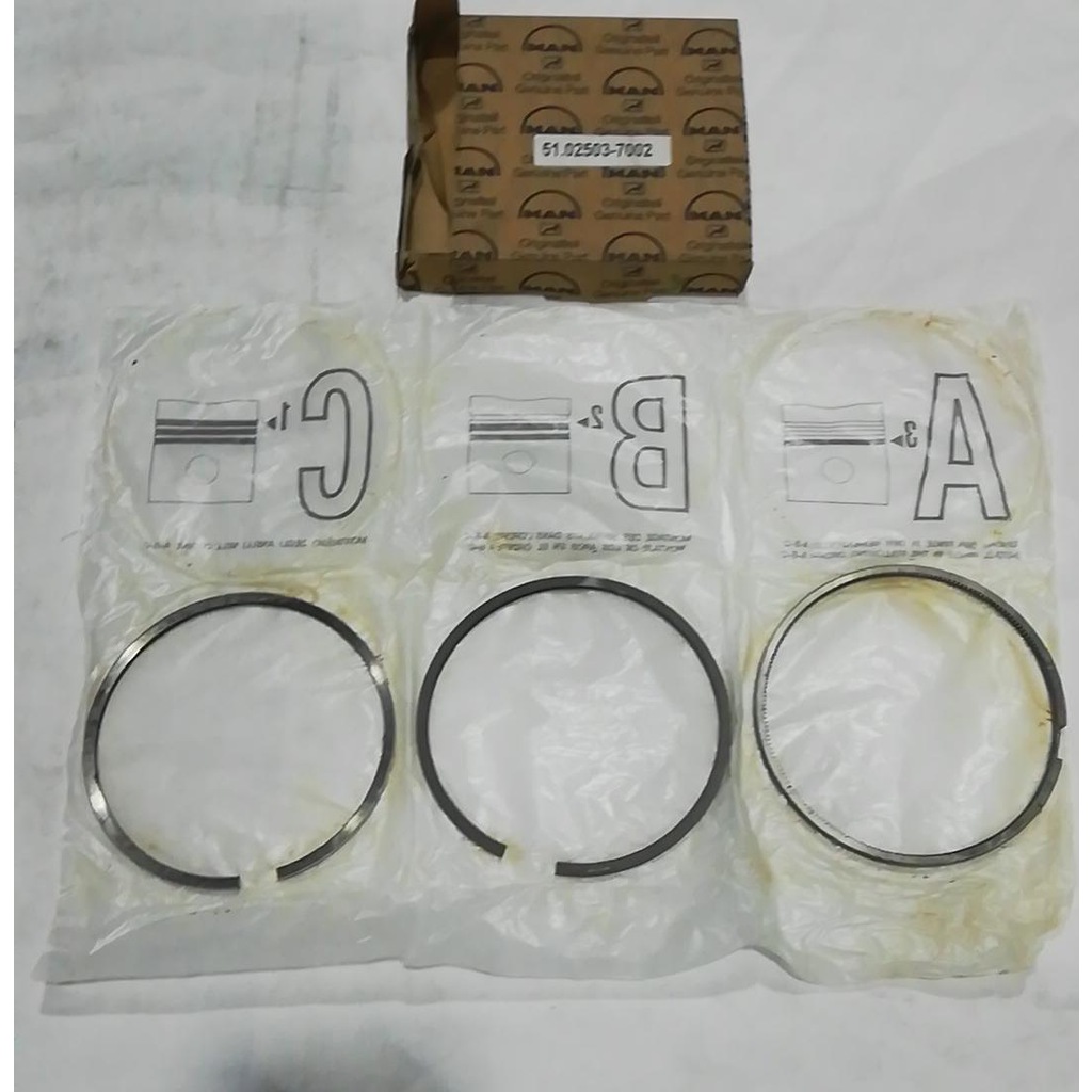 Orjinal Man TGA TGS TGX Piston Segman Seti 51025037002
