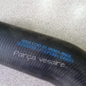 Orjinal Man TGL Radyatör Hortumu Üst 81963010906-1